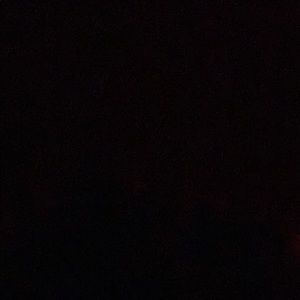 Meet your Posher, Jamison